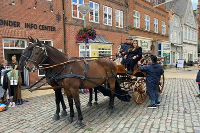 Tønder Camping  Tønder Byferie - Kutsche auf dem Marktplatz im Dorf in der Nähe des Campingplatzes