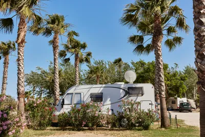TAIGA Delta de L'Ebre - Standplätze auf dem Campingplatz