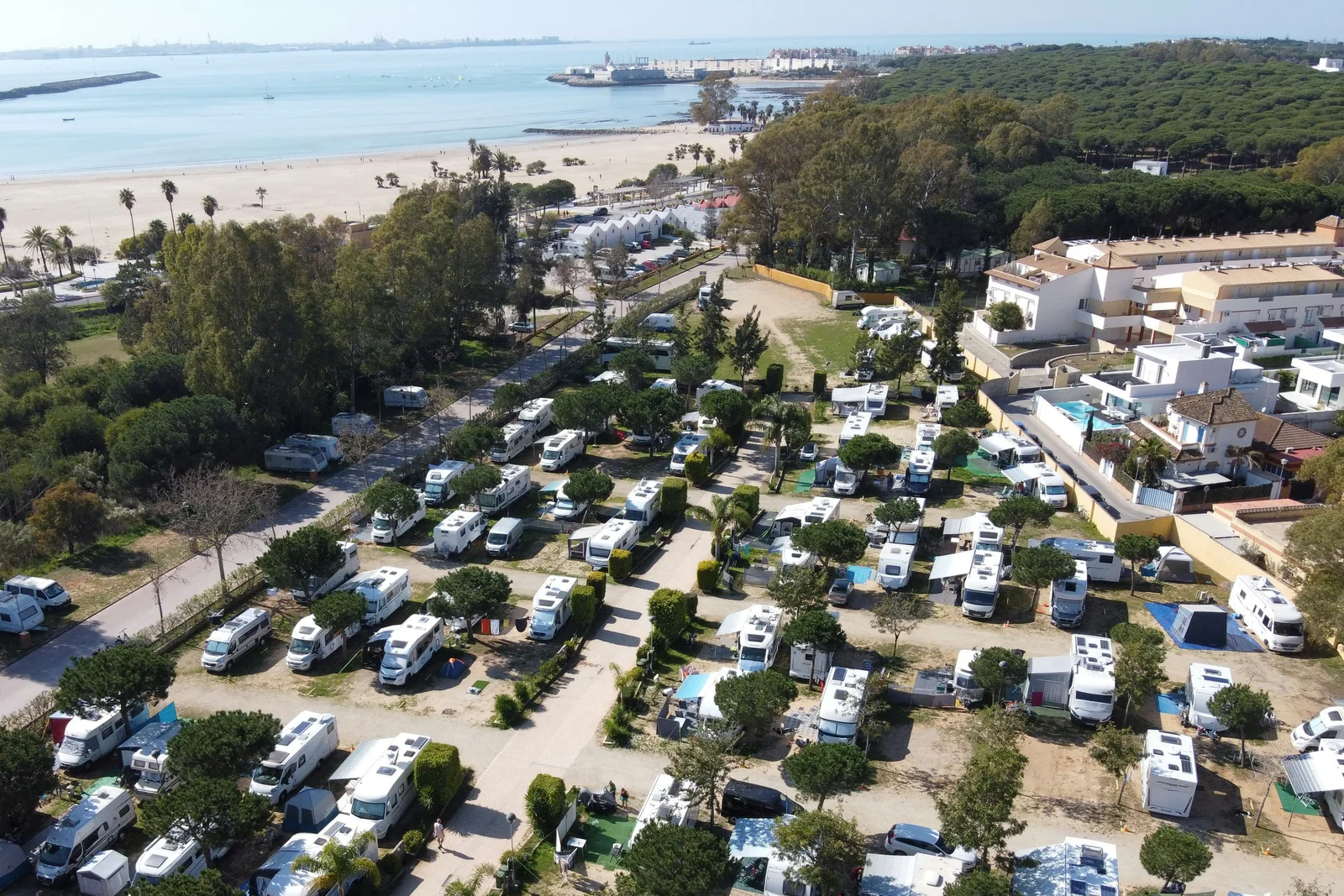 Taiga Puerto Santa Maria