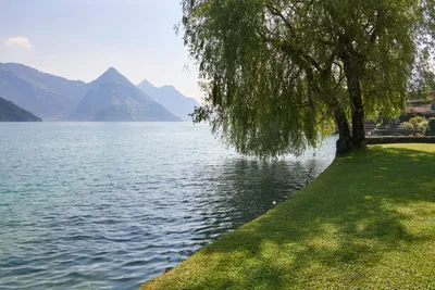 Tcs Camping Buochs Vierwaldstättersee