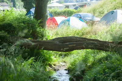 Terrassencamping Schlierbach - Zeltplatz im Grünen neben einem Bachlauf