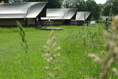 De Regge-vallei - Bild 3