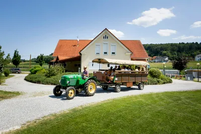 Thermenland Camping Bad Waltersdorf - geführte Aktivitäten  auf dem Campingplatz