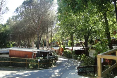 Tigullio Camping e Resort - Übersicht auf das  Campingplatz 
