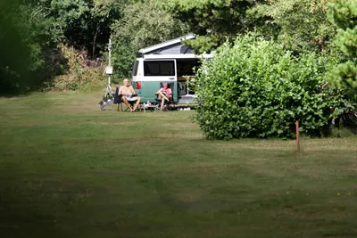 Tipperne Camping - Bild 2