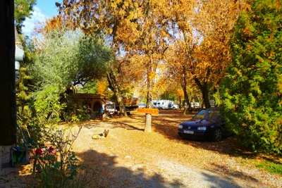 Tiszavirág Camping - Außenansicht der Rezeption auf dem Campingplatz