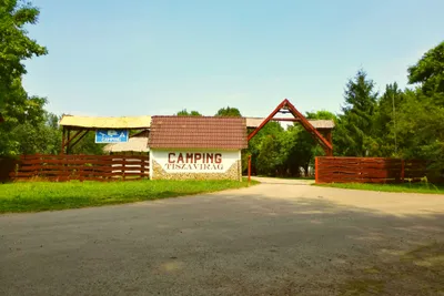 Tiszavirág Camping - Eingang zum Campingplatz