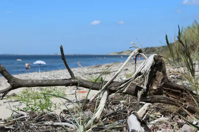 Toftum Bjerge Camping - Bild 2