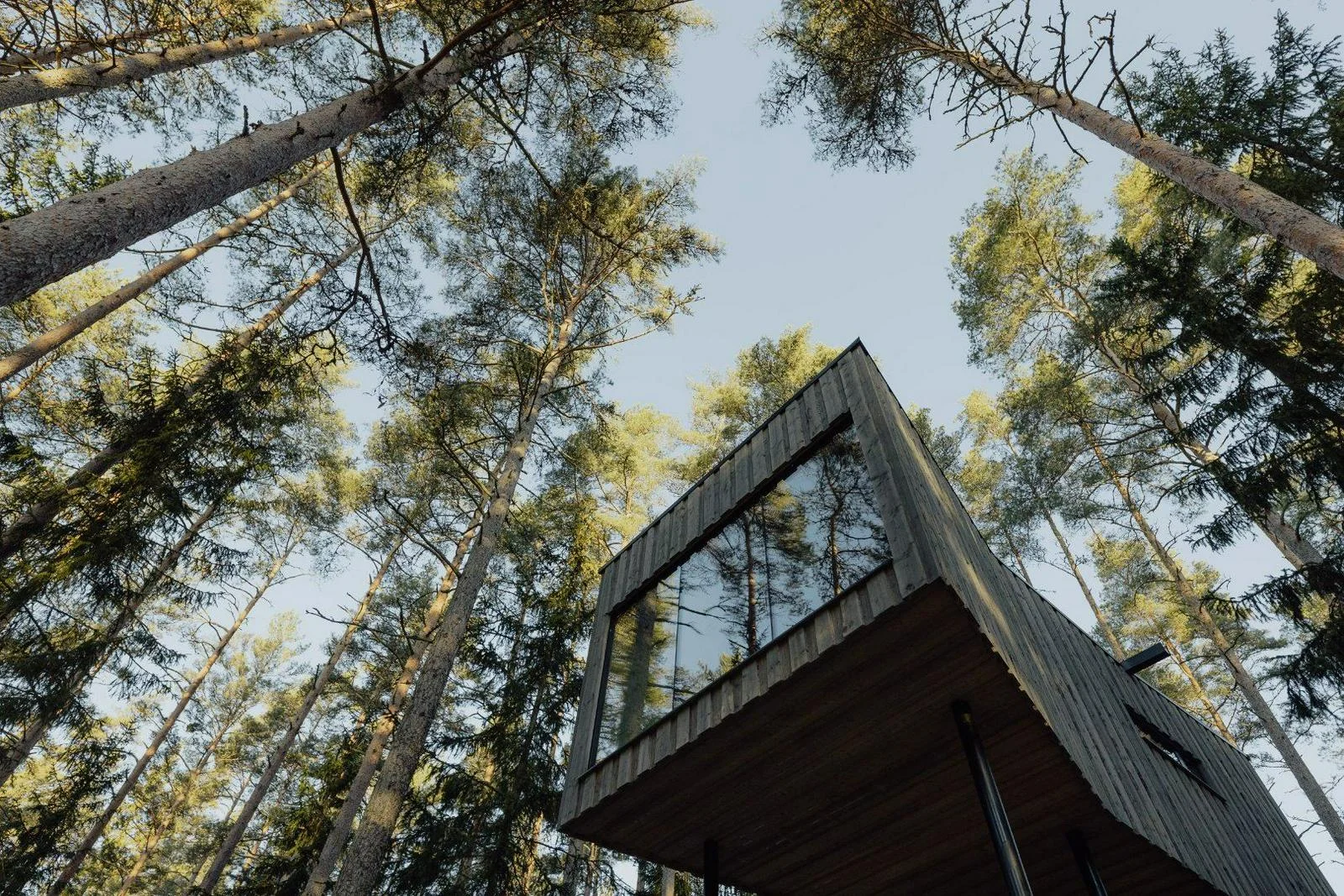 Trakt Forest Hotel