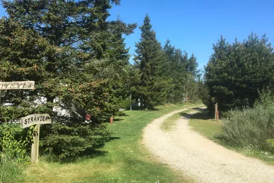 Tranum Klit Camping - Wanderweg zum Strand umringt von Wald