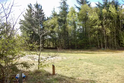 Tranum Klit Camping - Leere Stellplätze im Grünen auf dem Campingplatz