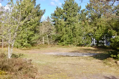 Tranum Klit Camping - Stellplätze auf der Wiese