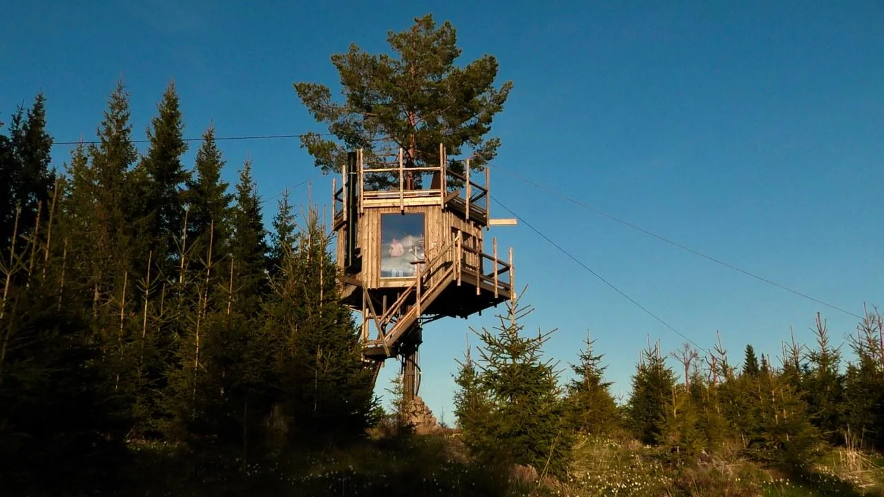 Tree top hut - Utsiktsred