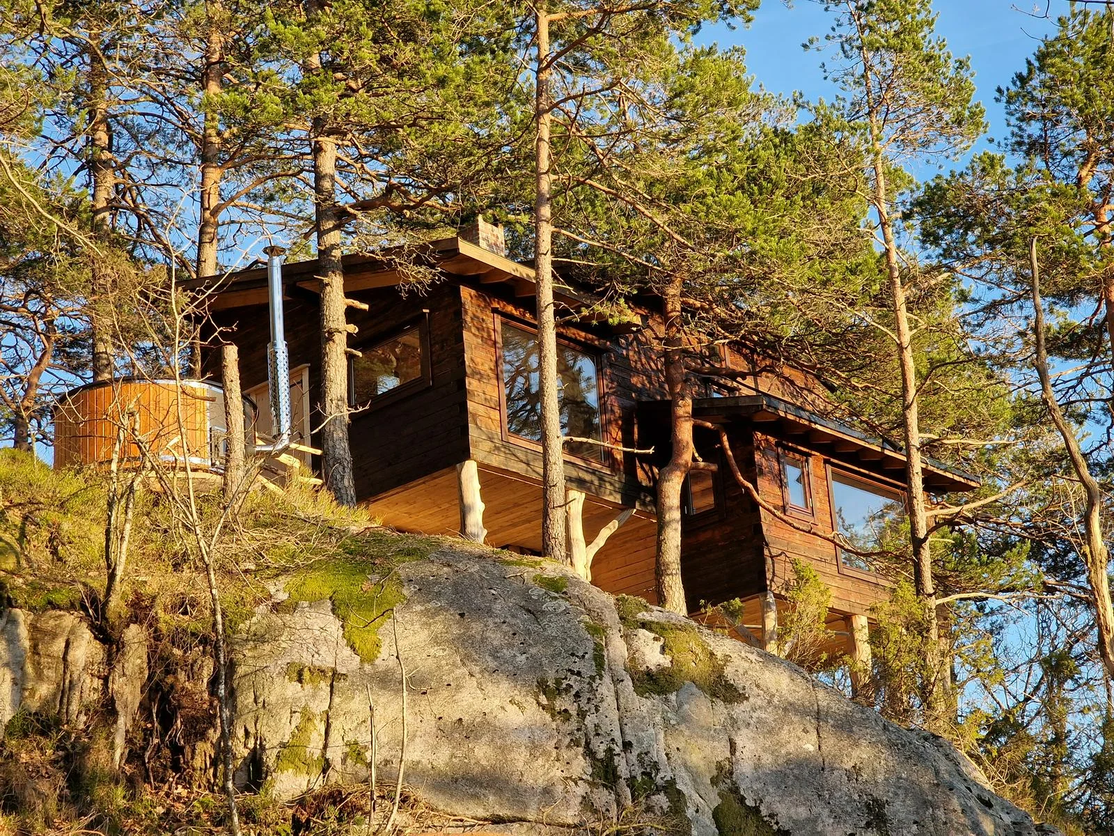 TreeTop Fiddan - Cliff Ca