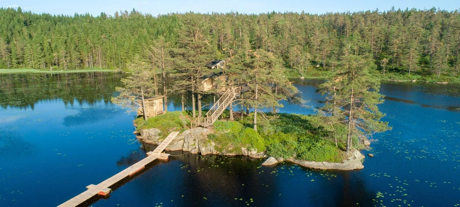 Treetop Island