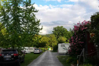 Campingplatz Unter dem Jenzig  - Gehweg auf dem Wohnwagenstellplatz und Wohnmobilstellplatz vom Campingplatz