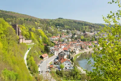 Camping unterm Dilsberg - Blick in die Umgebung des Campingplatzes