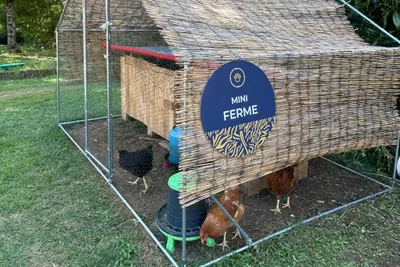 Camping Seasonova Rives D’Olt et Aubrac - Hühner auf dem Campingplatz