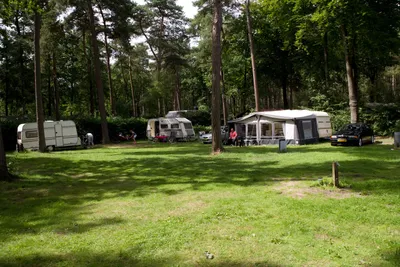 Vakantiepark Bonte Vlucht - Bild 4