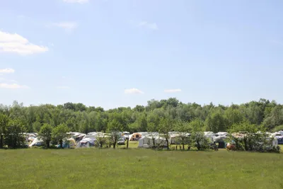 Vakantiepark De Heigraaf - Standplatzwiese auf dem Campingplatz