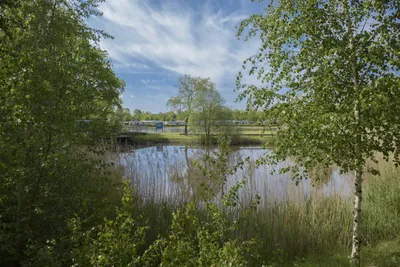 Vakantiepark De Kleine Belties Bild 3