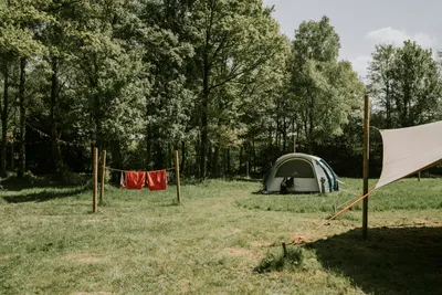 Vakantiepark Dierenbos - Bild 3
