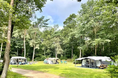 Vakantiepark Hertenhorst - Bild 2