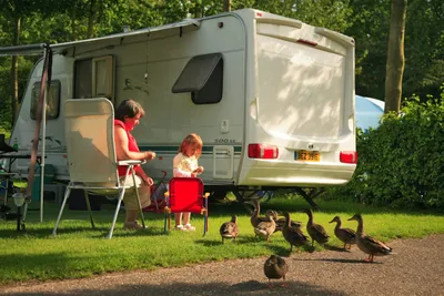 Vakantiepark Koningshof - Bild 3