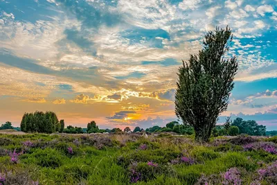 Vakantiepark Westerbergen - Bild 3