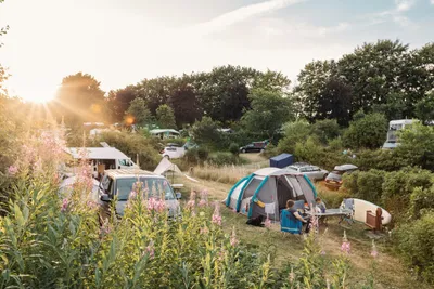 Vammen Camping - Blick auf das Campingplatzgelände