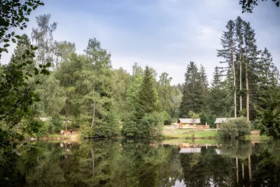 Huttopia Forêt Des Vosges - Bild 3