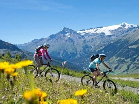 VVF Villages - Le Parc de la Vanoise - Lanslevillard