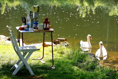 Camping Wagenburg - Camping am Fluss