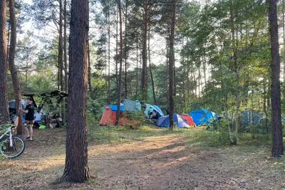 Wald- & Naturcampingplatz Am Tonsee Süd - Bild 2
