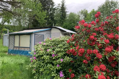 Camping Waldberg - Dauerstellplatz im Grünen