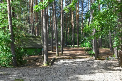 Waldcamping Brombach - Blick auf die Glamping-Hütten zwischen den Bäumen im Wald auf dem Campingplatz