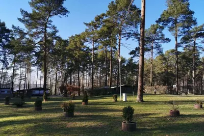 Waldcamping Am Großsee Bild 3
