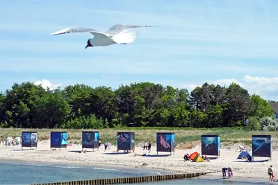 Wellness Camp Düne 6  -  Strand vom Campingplatz an der Ostsee