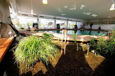 Wellness Camp Düne 6  - Indoor Pool vom Campingplatz