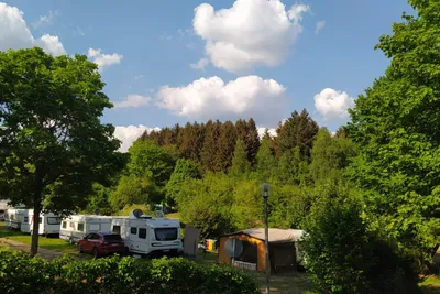 Camping Losheim am See - Blick auf die Stellplätze im Grünen