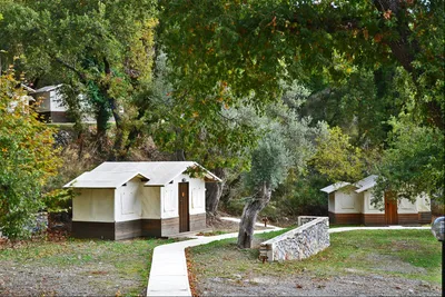Camping Wild Nature - Mobilheimhütten auf dem Campingplatz