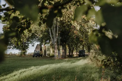 Wildwood Camping Rügen - Standplätze im Grünen unter Laubbäumen im Schatten