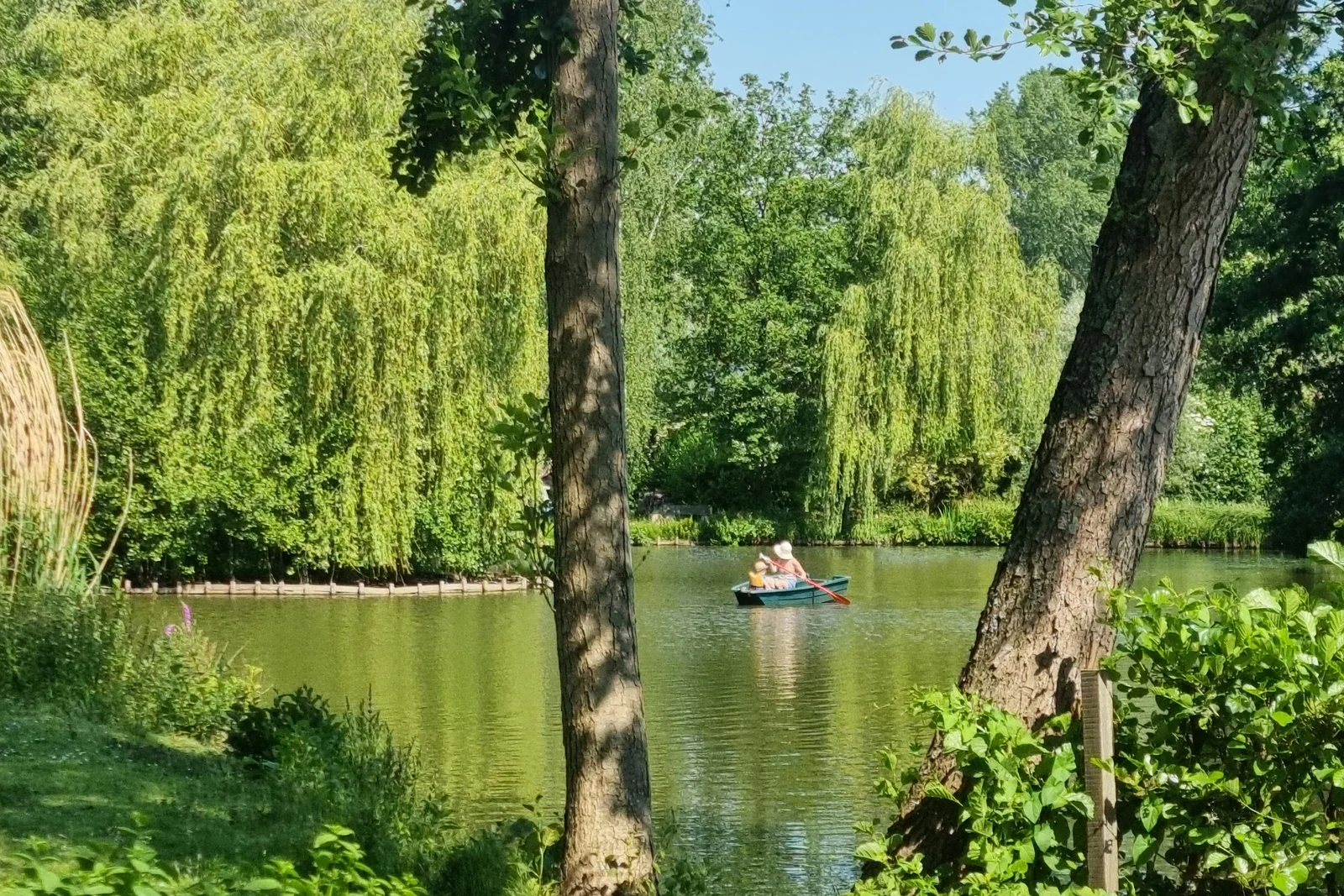 Willow camp