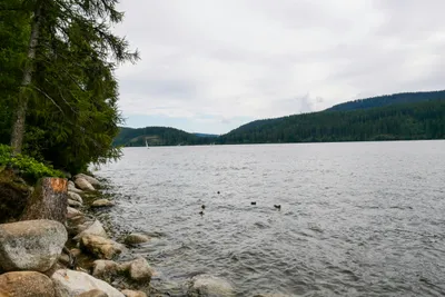 Campingplatz Schluchsee - Lage am See