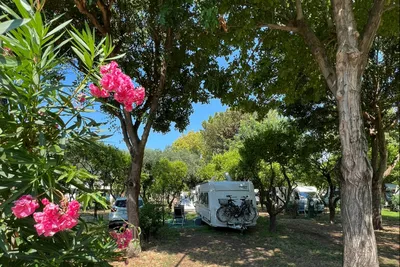 Camping Zeus - Standplätze auf dem Campingplatz