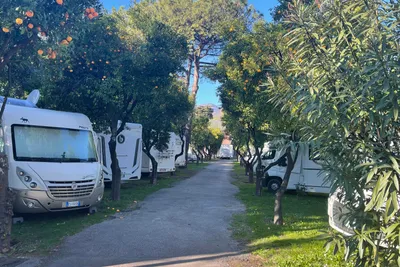 Camping Zeus - Standplätze auf dem Campingplatz