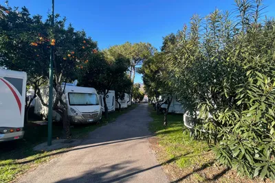 Camping Zeus - Standplätze zwischen den Obstbäumen