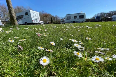 ZIMDARS CampingResort  Campingplatz Achtern Huus - Standplätze auf der Wiese auf dem Campingplatz
