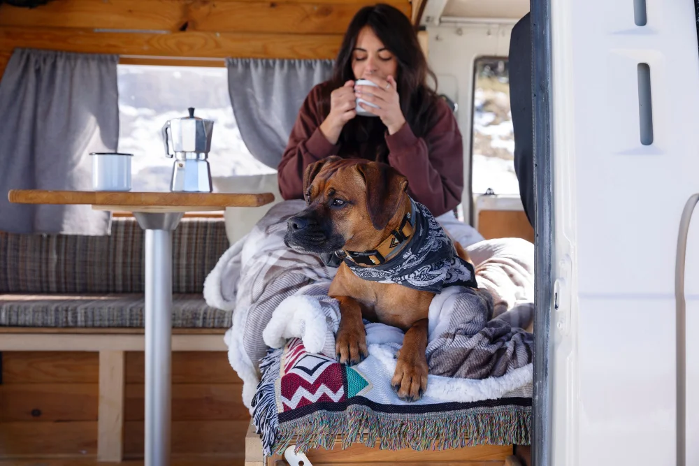 Wunderschöne Urlaube mit dem Hund – Die besten Tipps & Campingplätze