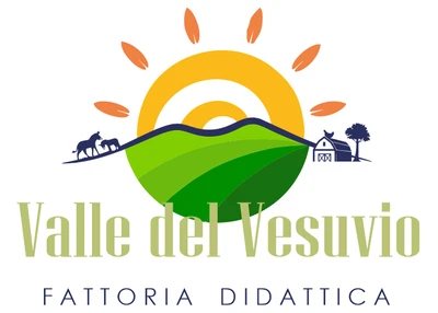 Agricamping Stone Vesuvio Logo